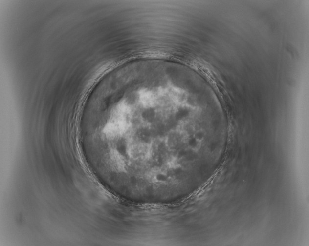 X0000110860145200907021423