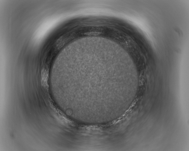 X0000110860146200907021423