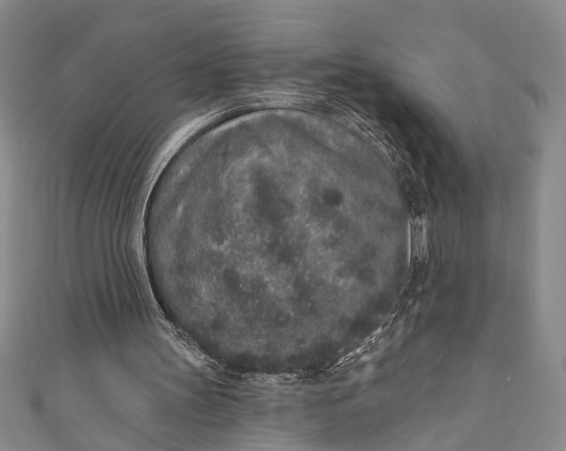 X0000110860147200907021423