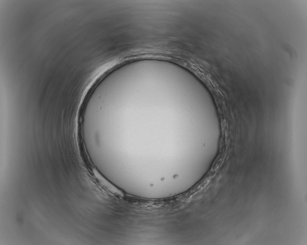 X0000110860148200907021423