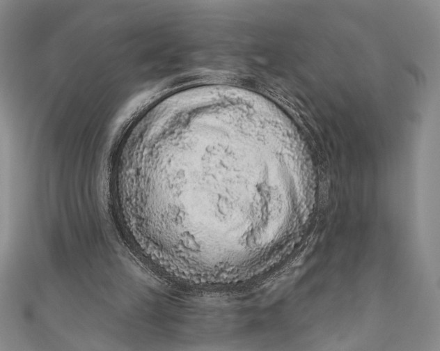 X0000110860149200907021423