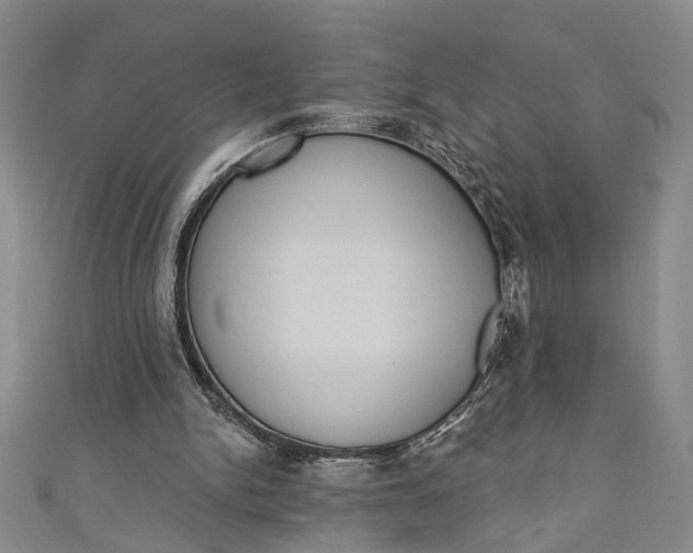 X0000110860150200907021423