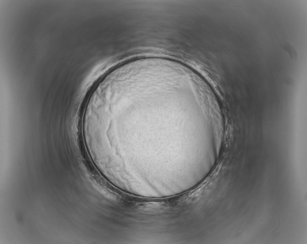 X0000110860151200907021423