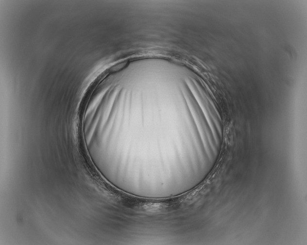 X0000110860152200907021423