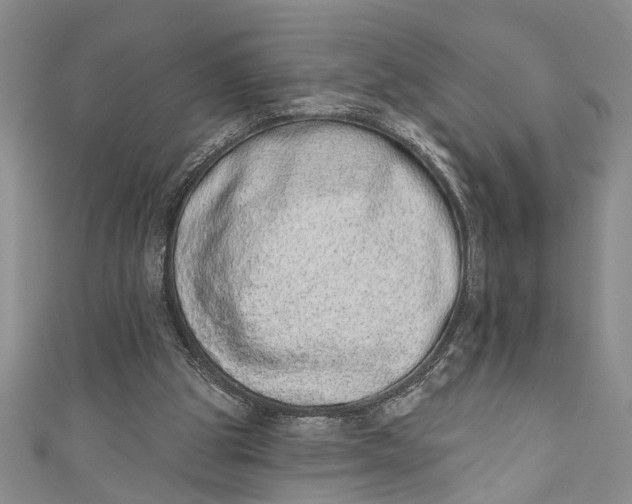 X0000110860153200907021423