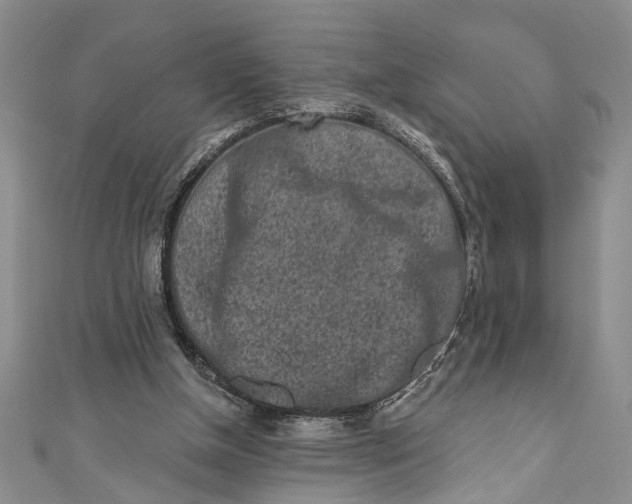 X0000110860154200907021423