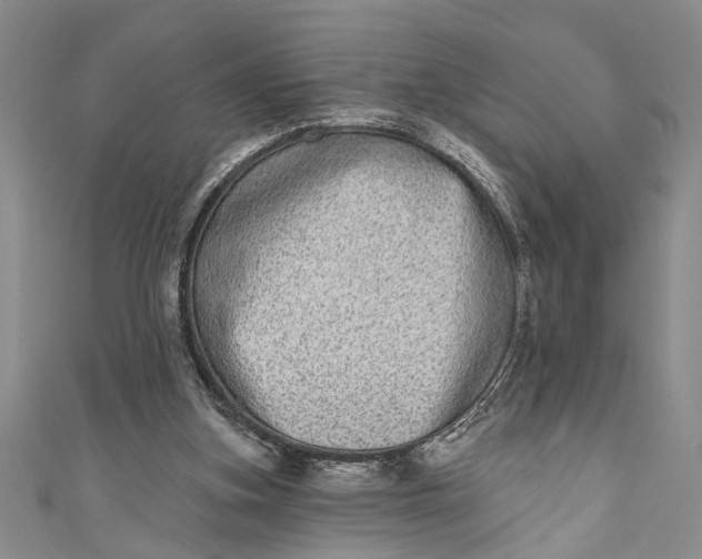 X0000110860155200907021423