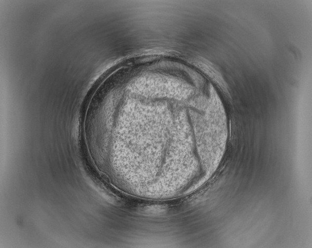 X0000110860156200907021423