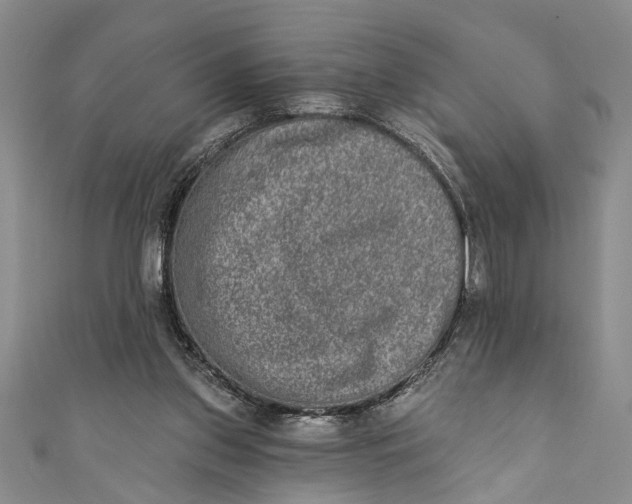 X0000110860157200907021423