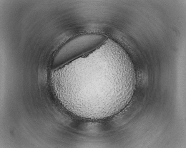 X0000110860158200907021423