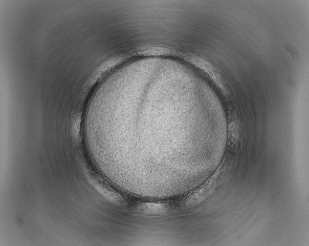 X0000110860159200907021423