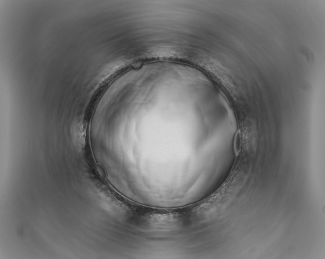 X0000110860160200907021423