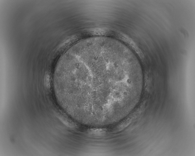 X0000110860161200907021423