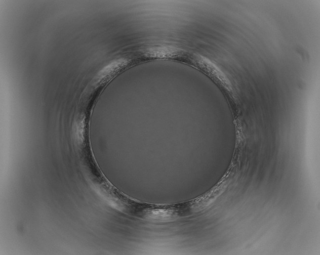 X0000110860163200907021423