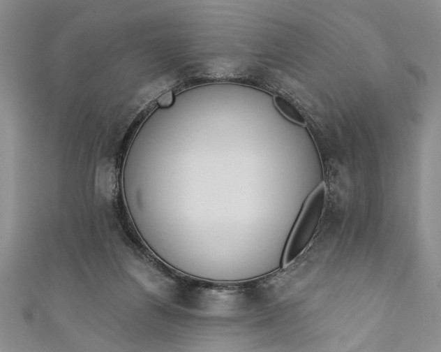 X0000110860164200907021423