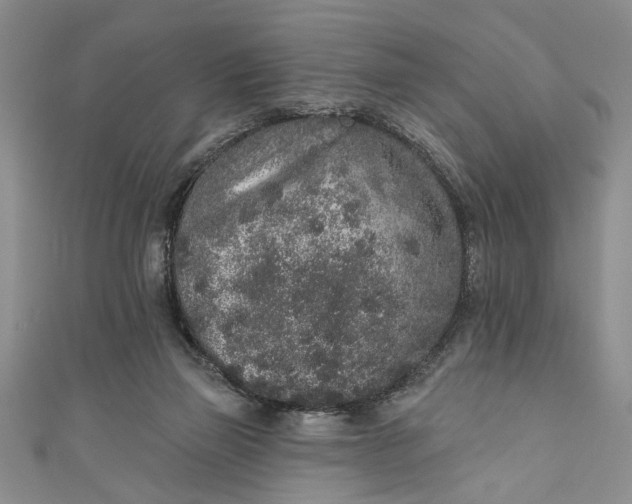 X0000110860165200907021423