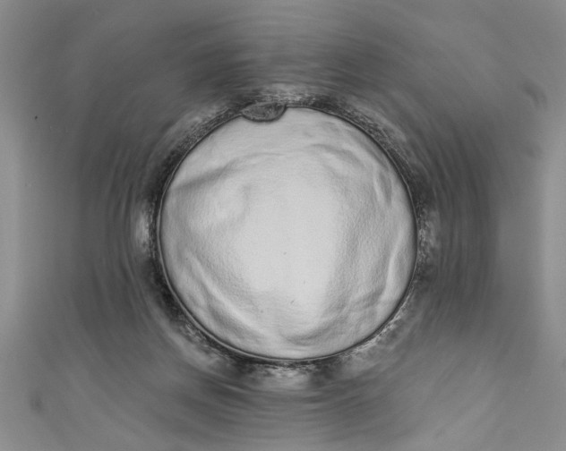 X0000110860166200907021423