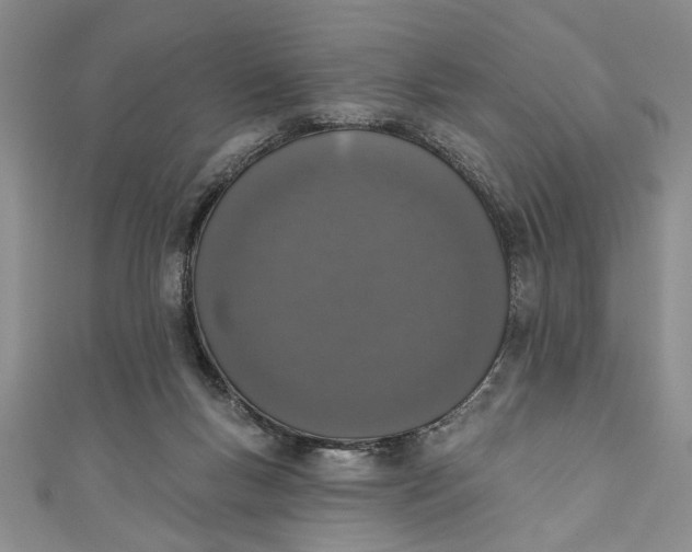 X0000110860167200907021423