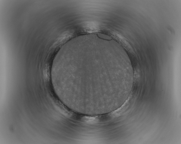 X0000110860170200907021423