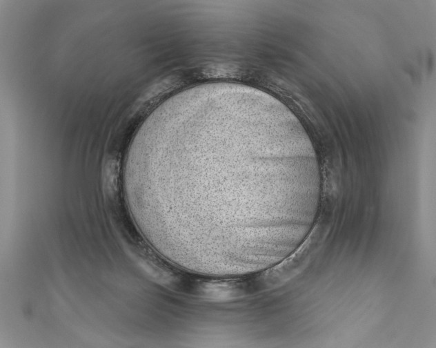 X0000110860171200907021423