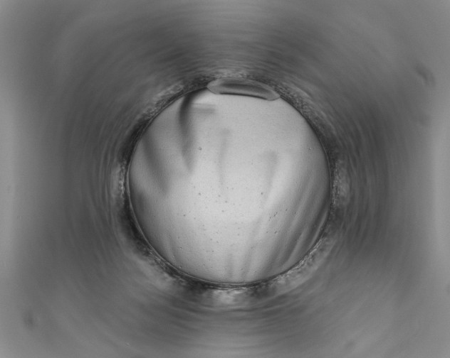 X0000110860172200907021423