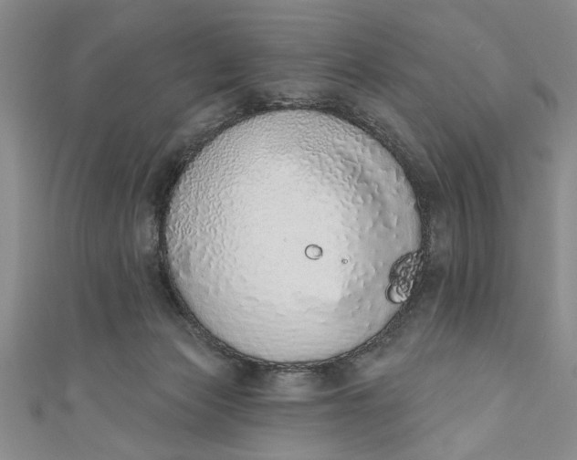 X0000110860173200907021423