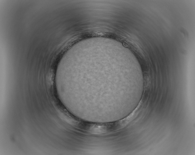 X0000110860174200907021423