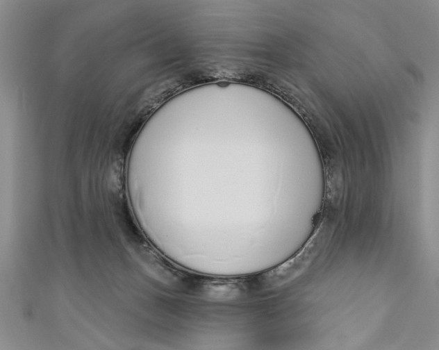 X0000110860175200907021423