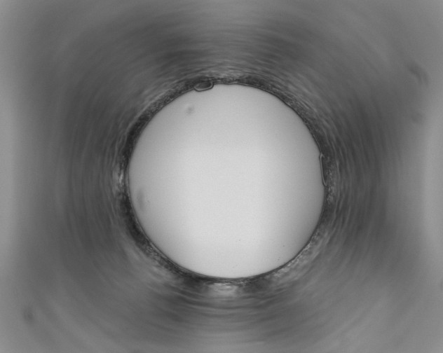 X0000110860176200907021423