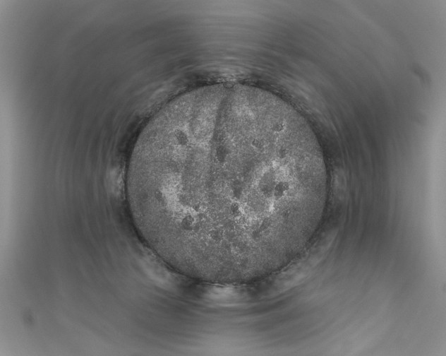 X0000110860177200907021423