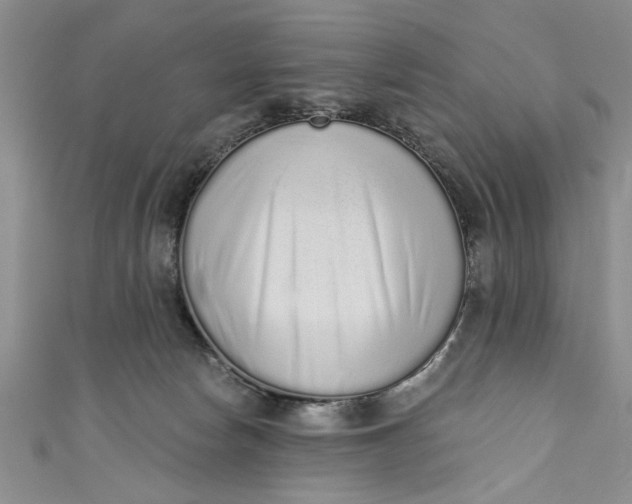 X0000110860178200907021423