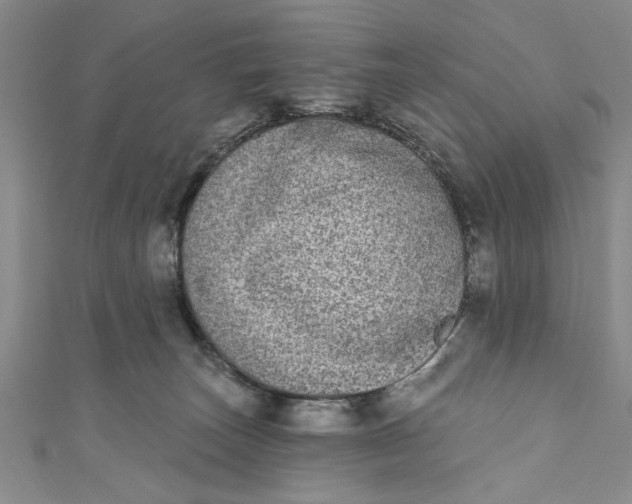 X0000110860179200907021423