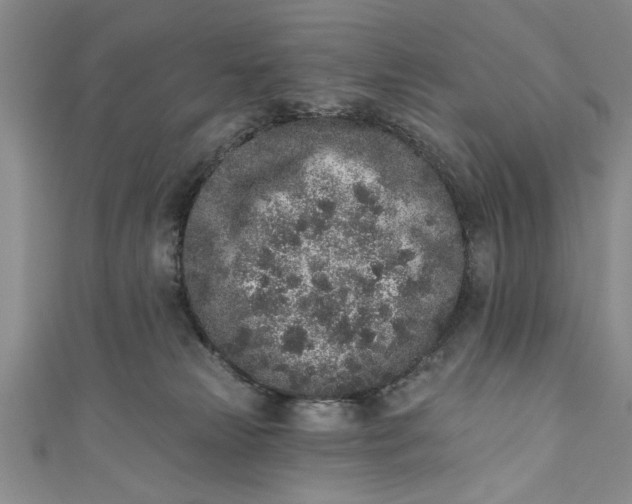 X0000110860181200907021423