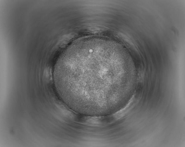 X0000110860182200907021423