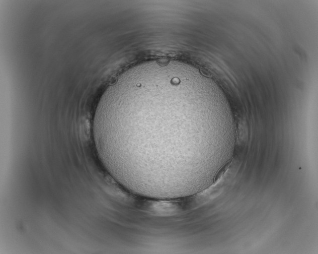 X0000110860183200907021423