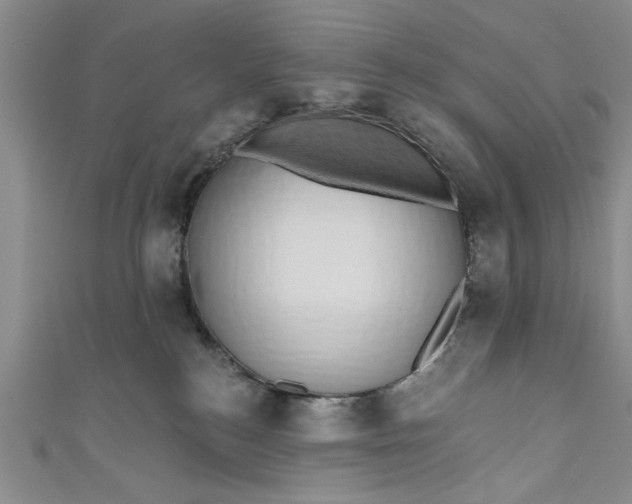 X0000110860184200907021423