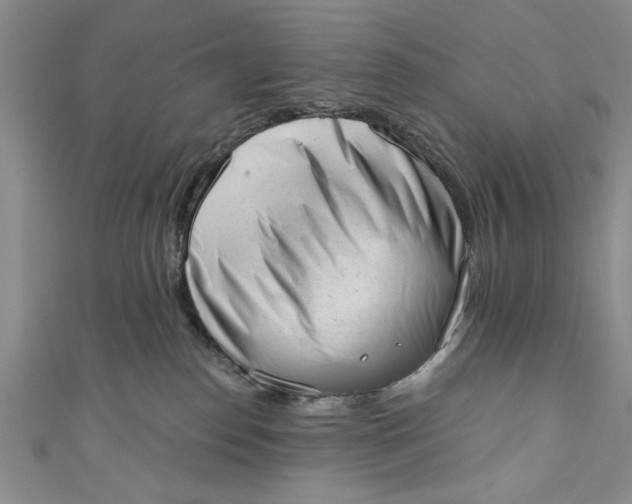 X0000110860186200907021423