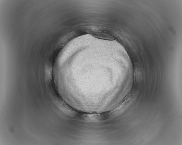 X0000110860188200907021423