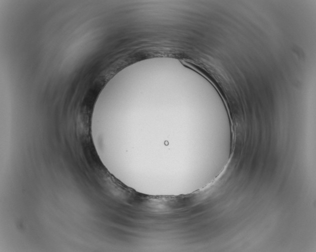 X0000110860190200907021423