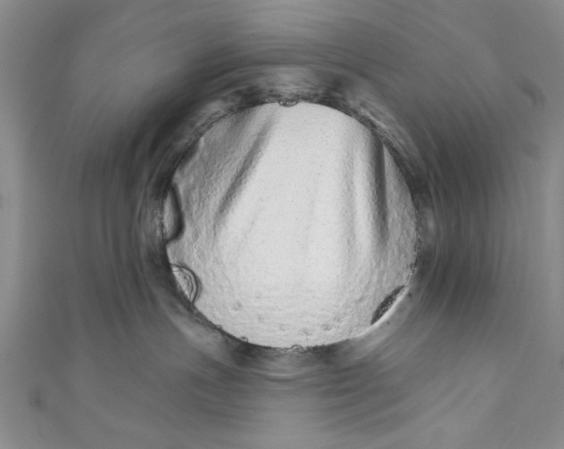 X0000110860191200907021423