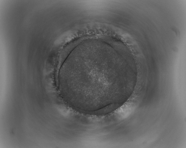 X0000110860192200907021423