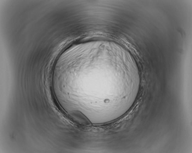 X0000110860193200907021423