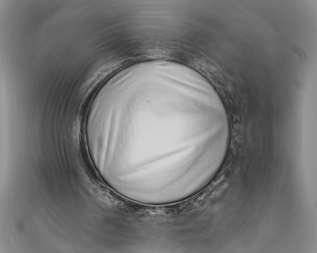 X0000110860194200907021423