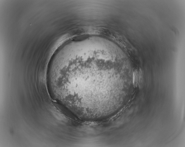 X0000110860195200907021423