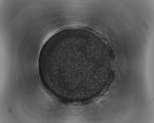 X0000110860196200907021423