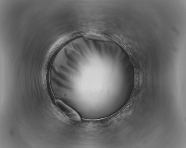 X0000110860197200907021423