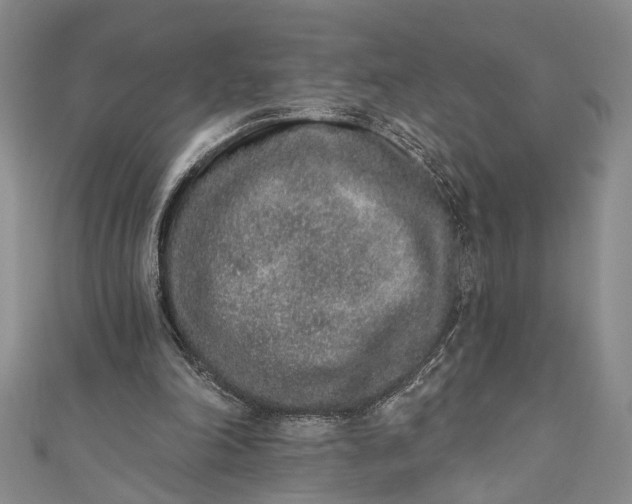 X0000110860198200907021422