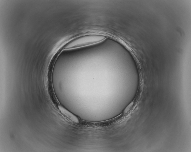 X0000110860199200907021422