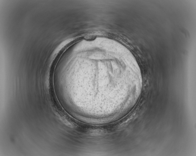 X0000110860200200907021422