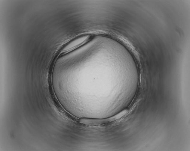 X0000110860201200907021422